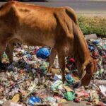 ചരിത്ര നിമിഷം; ഇന്ത്യന്‍ നാവികസേനയിലെ ആദ്യ വനിതാ പൈലറ്റായി ശിവാംഗി