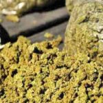 ഈ വര്‍ഷത്തെ ദേശിയ ഫ്ലോറന്‍സ് നൈറ്റിഗേല്‍ അവാര്‍ഡ് നഴ്സ് ലിനിക്ക്