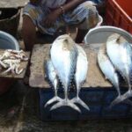 ഇന്ത്യ-വെസ്റ്റിന്‍ഡീസ് ടി-20 അവസാന മത്സരം ഇന്ന്