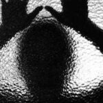 ഡിസംബര്‍ 17ന് സംസ്ഥാനത്ത് ഹര്‍ത്താല്‍