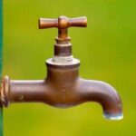 പൗരത്വ നിയമ​ഭേദഗതി: ജപ്പാന്‍ പ്രധാനമന്ത്രി ഇന്ത്യ സന്ദര്‍ശനം റദ്ദാക്കിയേക്കും