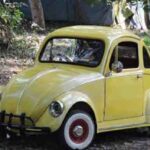 തലശ്ശേരി സ്വ​ദേ​ശി​നി​യാ​യ വി​ദ്യാ​ര്‍​ഥി​നി കൊ​ച്ചി​യി​ലെ ല​ഹ​രി​മാ​ഫി​യ​യു​ടെ പ്ര​ണ​യ​ക്കു​രു​ക്കി​ല്‍.! പോലീസ് രക്ഷിക്കാന്‍ ശ്രമിച്ചിട്ടും സഹകരിക്കാതെ പെണ്‍കുട്ടി; ഒടുവില്‍ വീട്ടുകാരെയും തള്ളി പെണ്‍കുട്ടി കാമുകനൊപ്പം പോയി