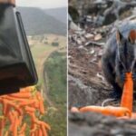 റോഡപകടങ്ങള്‍ ഒഴിവാക്കാന്‍ ഉറക്കം മാറ്റല്‍ കേന്ദ്രങ്ങള്‍ തുടങ്ങും: മുഖ്യമന്ത്രി