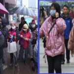 മനുഷ്യ മഹാശൃംഖലയില്‍ പങ്കെടുത്തതില്‍ ഒരു തെറ്റുമില്ല; കെ എം ബഷീര്‍