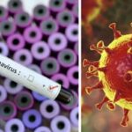 നിര്‍ഭയ കേസ് പ്രതികളെ നാളെ തൂക്കിലേറ്റില്ല; മരണ വാറണ്ടിന് സ്റ്റേ