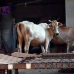 ഫെയ്സ് ബുക്ക് അല്‍ഗൊരിതവുമായി വ്യാജ സന്ദേശം; വ്യക്തമാക്കി കേരളാ പോലീസ്