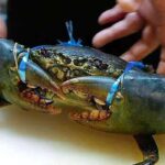 നാഗ്പൂരില്‍ 19 കാരിയെ ബലാത്സംഗം ചെയ്തു; വായില്‍ തുണിതിരുകി, സ്വകാര്യഭാഗങ്ങളില്‍ ഇരുമ്ബുദണ്ഡ് കയറ്റി