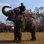 ഷവര്‍മ ഉണ്ടാക്കാന്‍ തീവണ്ടിയിലെത്തിച്ച 600 കിലോ ഭക്ഷ്യയോഗ്യമല്ലാത്ത കോഴിയിറച്ചി പിടികൂടി