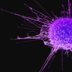 400 പോയന്റിലേറെ കുതിച്ച്‌ ഓഹരി വിപണിക്ക് നേട്ടത്തോടെ തുടക്കം