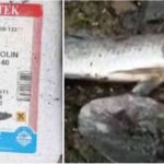 മരിച്ചുപോയവര്‍ ഇപ്പോഴും ‘അരിയും ഗോതമ്ബും’ വാങ്ങുന്നു ; രണ്ട് റേഷന്‍ കാര്‍ഡില്‍ വാങ്ങിയത് 2000 കിലോ അരി