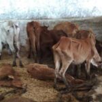 50 ലക്ഷം പേര്‍ തന്നെ സ്വീകരിക്കാനെത്തുമെന്ന് മോദി പറഞ്ഞു: ഇന്ത്യാ സന്ദര്‍ശനത്തെ കുറിച്ച്‌ ട്രംപ്‌