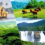 ഇന്ത്യ VS ന്യൂസിലാന്‍ഡ്: ആദ്യ ഏകദിനത്തില്‍ ന്യൂസിലാന്‍ഡിന് തകര്‍പ്പന്‍ ജയം