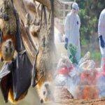 വിദ്യാഭ്യാസ സ്ഥാപനങ്ങള്‍ക്ക് അവധി, തീയേറ്ററുകള്‍ അടച്ചിടണം, ഉത്സവങ്ങള്‍ ഒഴിവാക്കണം