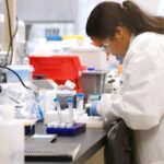 വാഗണ്‍ആര്‍ ഇലക്‌ട്രിക് പദ്ധതി ഉപേക്ഷിച്ച്‌ മാരുതി സുസുക്കി