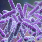 ജനുവരി നാലു മുതൽ കോളേജുകൾ തുറക്കും