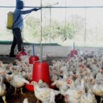 ട്രംപിനെതിരായ ഇംപീച്ച്‌മെന്റ് നടപടികള്‍ ഉടന്‍ ആരംഭിയ്ക്കും