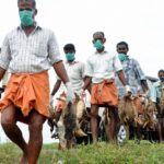 മ​ന്ത്രി എ.​കെ. ബാ​ല​ന് കോ​വി​ഡ് സ്ഥി​രീ​ക​രി​ച്ചു