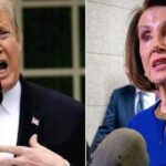 രാജ്യത്ത് പക്ഷിപ്പനി ഏഴ് സംസ്ഥാനങ്ങളില്‍