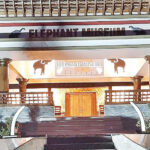 ദഹന പ്രശ്‌നത്തിനും നെഞ്ചെരിച്ചിലിനും ഇഞ്ചിയിലൂടെ പരിഹാരം