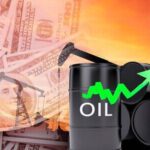 സണ്ണി ലിയോണിന്‍റെ അറസ്റ്റ് തടഞ്ഞ് ഹൈകോടതി