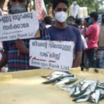 കേരള തീരത്ത് മത്സ്യബന്ധനത്തിന് യു.എസ്‌ കമ്ബനി, ജെ. മേഴ്‌സിക്കുട്ടിയമ്മക്ക് എതിരേ അഴിമതി ആരോപണവുമായി ചെന്നിത്തല