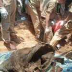 ശനി, ഞായര്‍ ദിവസങ്ങളില്‍ അവശ്യ സര്‍വീസുകള്‍ മാത്രം; നിയന്ത്രണം കൂടുതല്‍ കടുപ്പിച്ച്‌ സര്‍ക്കാര്‍