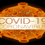 ട്രോളിംഗ് നിരോധനം ജൂണ്‍ 9 അര്‍ദ്ധരാത്രി മുതല്‍ ജൂലൈ 31 വരെ