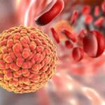 രമേശ് ചെന്നിത്തലയും എം.എ ആരിഫ് എം.പിയും സിനിമയിലേക്ക്.!!