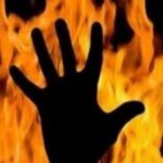 വില്ലന്‍ വവ്വാല്‍ തന്നെ; കോഴിക്കോട് നിന്നും പിടികൂടിയ വവ്വാലുകളില്‍ നിപ സാന്നിധ്യം കണ്ടെത്തി