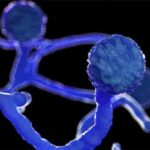 ഐ.പി.എല്ലില്‍ തകര്‍പ്പന്‍ ജയം; പിന്നാലെ സഞ്ജു സാംസണിന് 12 ലക്ഷം രൂപ പിഴ