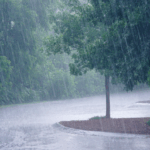 ‘വെള്ളം മുഴുവനും തരാം, ജീവനെടുക്കരുത്’ സ്റ്റാലിന്‍റെ പേജില്‍ അപേക്ഷയുമായി മലയാളികള്‍