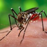 നടന്‍ ജോജു ജോര്‍ജിന്റെ കാര്‍ തകര്‍ത്ത സംഭവത്തില്‍ പ്രതി ജോസഫ് കുറ്റം സമ്മതിച്ചു; കൂടുതല്‍ പ്രതികള്‍ ഉള്‍പ്പെട്ടേക്കും