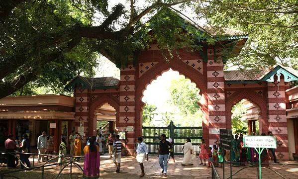 മൃഗശാലയില്‍ പന്നിമാന്‍ പുറത്ത് ചാടി; കനകനഗറില്‍നിന്ന്​ കണ്ടെത്തി