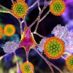 കൊച്ചിയിലെ കൊതുക് ശല്യത്തിനെതിരെ നടന്‍ വിനയ് ഫോര്‍ട്ട്