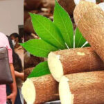 ‘സത്യമെങ്കില്‍, ലജ്ജിക്കുന്നു’; പിതാവ് ഗര്‍ഭിണിയാക്കിയ 10 വയസ്സുകാരിയുടെ ഗര്‍ഭഛിദ്രം നടത്താന്‍ അനുമതി നല്‍കവെ വികാരഭരിതമായി ഹൈക്കോടതി