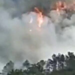 നമ്ബര്‍ 18 ഹോട്ടല്‍ പോക്‌സോ കേസ്; റോയ് വയലാട്ടിനും സൈജു തങ്കച്ചനും ജാമ്യം അനുവദിച്ചു