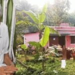 ഐഎസ്‌എല്ലില്‍ നാളെ കലാശക്കൊട്ട്: കന്നിക്കിരീടം ലക്ഷ്യമിട്ട് ബ്ലാസ്റ്റേഴ്സും ഹൈദരാബാദും നേര്‍ക്കുനേര്‍