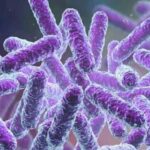 അംഗത്വഫീസായ ഒരു ലക്ഷം രൂപ തിരിച്ച്‌ തരേണ്ട, ഒന്ന് ഒഴിവാക്കി തരണം; അമ്മയുടെ അംഗത്വമൊഴിയാന്‍ ഹരീഷ് പേരടിയും