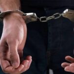 ‘നട്ടു നനച്ച്‌ വളര്‍ത്തി കഞ്ചാവ്’: കൊച്ചി മെട്രോ പില്ലറുകള്‍ക്കിടയിലെ ചെടികള്‍ക്കിടയില്‍ കഞ്ചാവ് ചെടി കണ്ടെത്തി