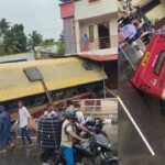 ‘നട്ടു നനച്ച്‌ വളര്‍ത്തി കഞ്ചാവ്’: കൊച്ചി മെട്രോ പില്ലറുകള്‍ക്കിടയിലെ ചെടികള്‍ക്കിടയില്‍ കഞ്ചാവ് ചെടി കണ്ടെത്തി