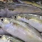 ശ്രീലങ്കന്‍ പ്രധാനമന്ത്രി മഹിന്ദ രജപക്സെ രാജിവച്ചു