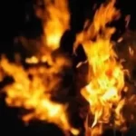 ലുലു ഐ.പി.ഒക്ക് വൻ പ്രതികരണം; മണിക്കൂറുകൾക്കുള്ളിൽ മുഴുവൻ ഓഹരികളും വിറ്റുപോയി