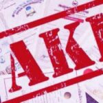 വയനാട് ഉപതെരഞ്ഞെടുപ്പ്: പ്രിയങ്ക ഗാന്ധിയുടെ വരവ് മുന്നിൽ കണ്ട് യുഡിഎഫ് സജീവമാകുന്നു