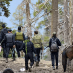 പഹല്‍ഗാം ആക്രമണം: ലഷ്‌കര്‍ ഭീകരന്‍ സെയ്ഫുള്ള കസൂരിയാണെന്ന സൂചന; അന്വേഷണത്തിനിടെ പുതിയ വിവരങ്ങള്‍ പുറത്തായി