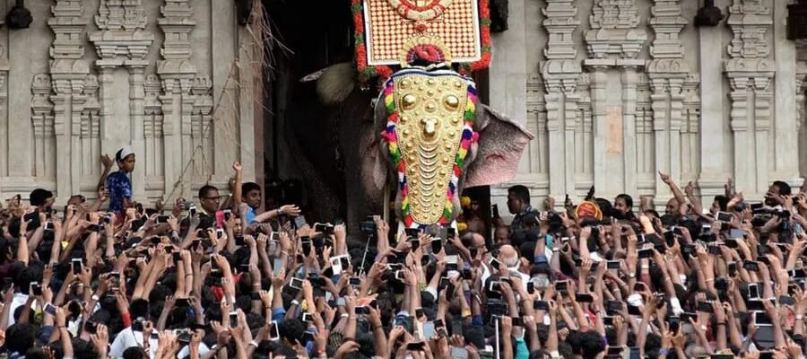 ചെമ്പൂക്കാവ് ഭഗവതിയുടെ തിടമ്പേറ്റാന്‍