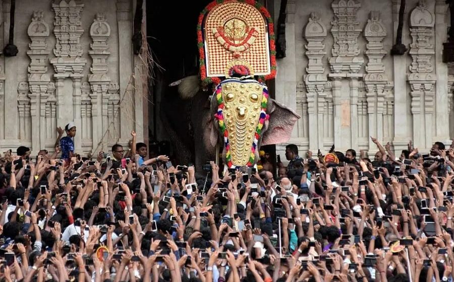 ചെമ്പൂക്കാവ് ഭഗവതിയുടെ തിടമ്പേറ്റാന്‍