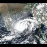 പുന്നപ്ര കടൽത്തീരത്ത് വീണ്ടും ഡോൾഫിൻ ജഡം; മരണ കാരണം വ്യക്തമല്ല