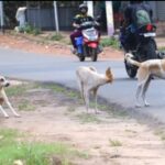 സംസ്ഥാനത്തിന്റെ സുരക്ഷ ചുമതല ഏറ്റെടുത്ത് രവാസ ചന്ദ്രശേഖർ