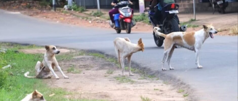 തലനാരിഴയ്ക്ക് രക്ഷപ്പെട്ടു