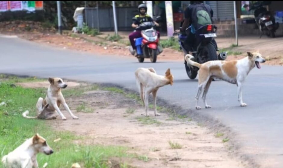 തലനാരിഴയ്ക്ക് രക്ഷപ്പെട്ടു
